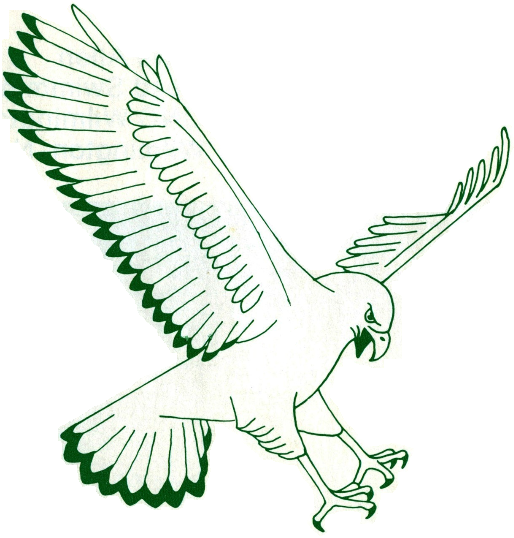 NC-Wilmington Seahawks 1977-1985 Primary Logo diy DTF decal sticker